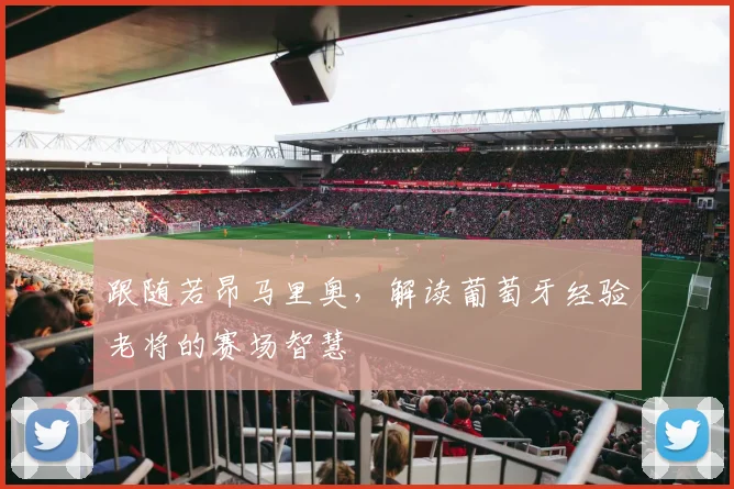 跟随若昂马里奥，解读葡萄牙经验老将的赛场智慧