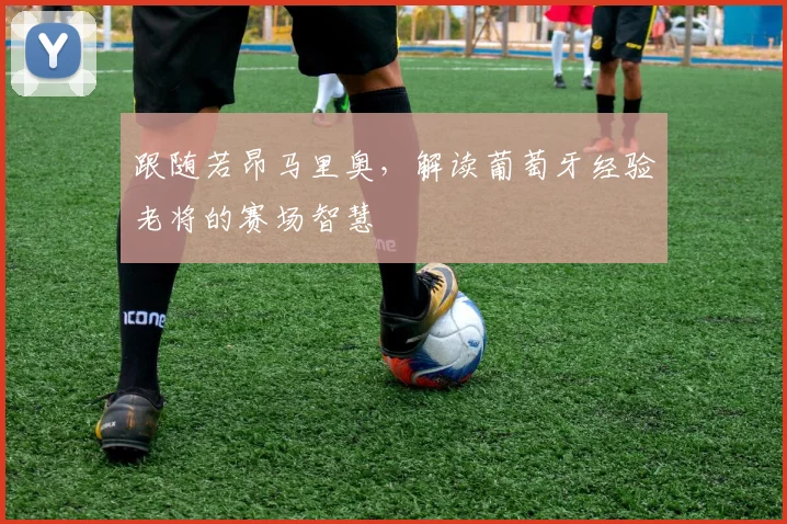 跟随若昂马里奥，解读葡萄牙经验老将的赛场智慧
